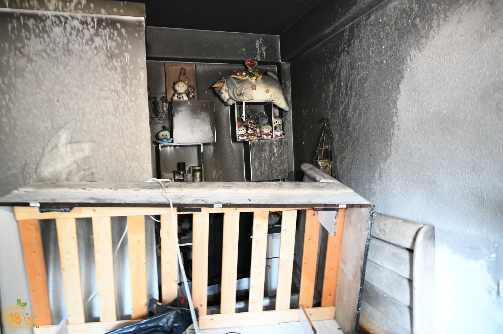 WhatsApp Image 2023-09-21 at 8.03.11 PM.jpeg